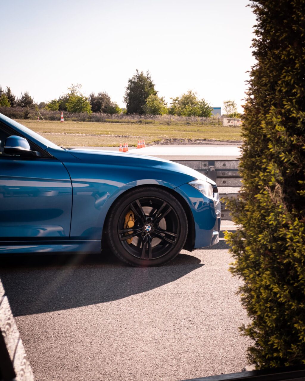 Zdjęcie WhatsApp 2024-06-10 o 10.00.49_04ff4ab7